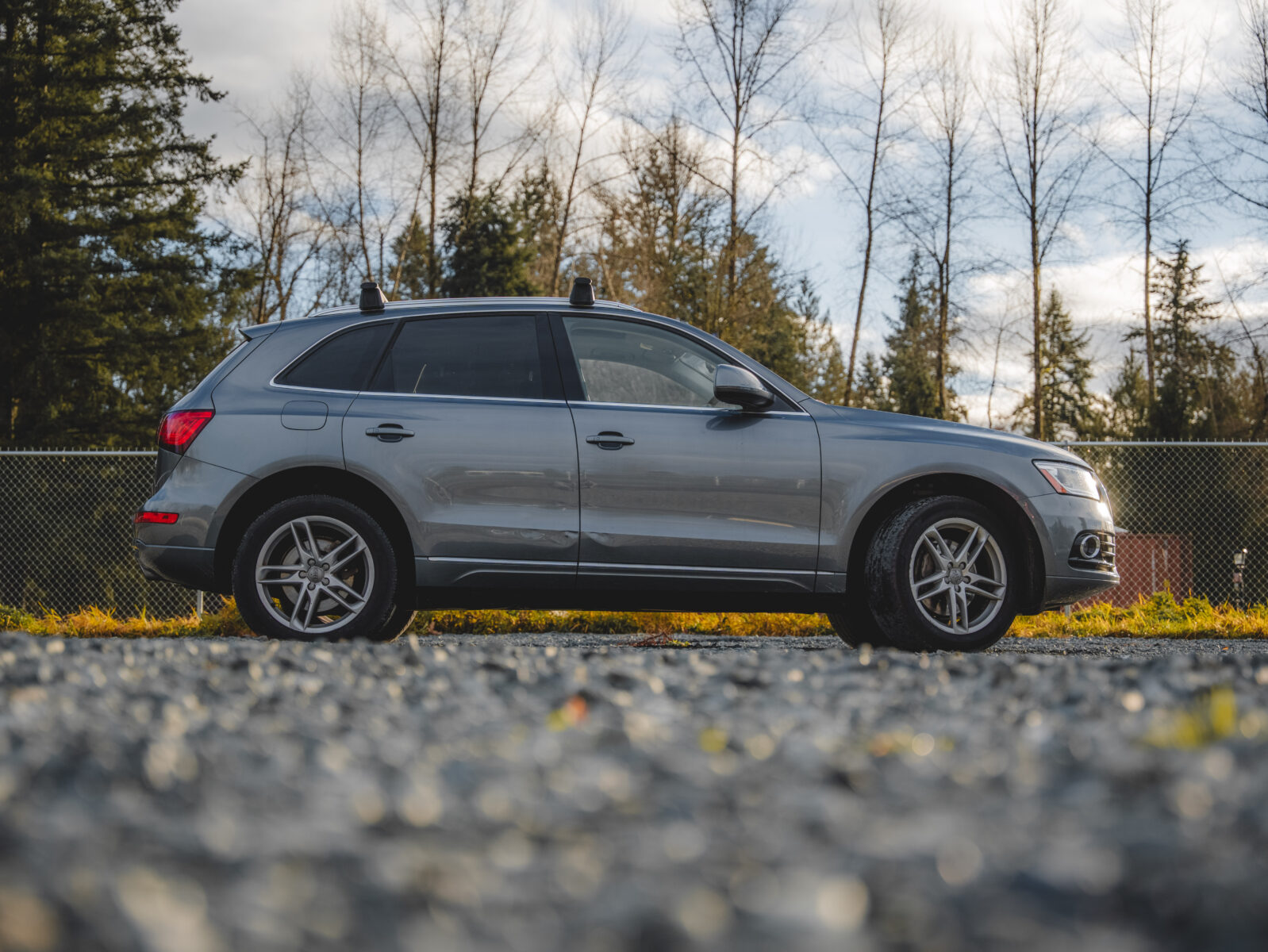 2014 Audi Q5 TDI Premium Plus