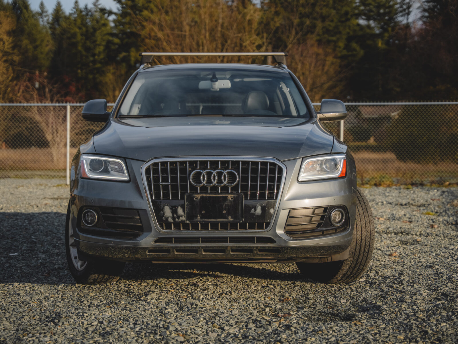 2014 Audi Q5 TDI Premium Plus